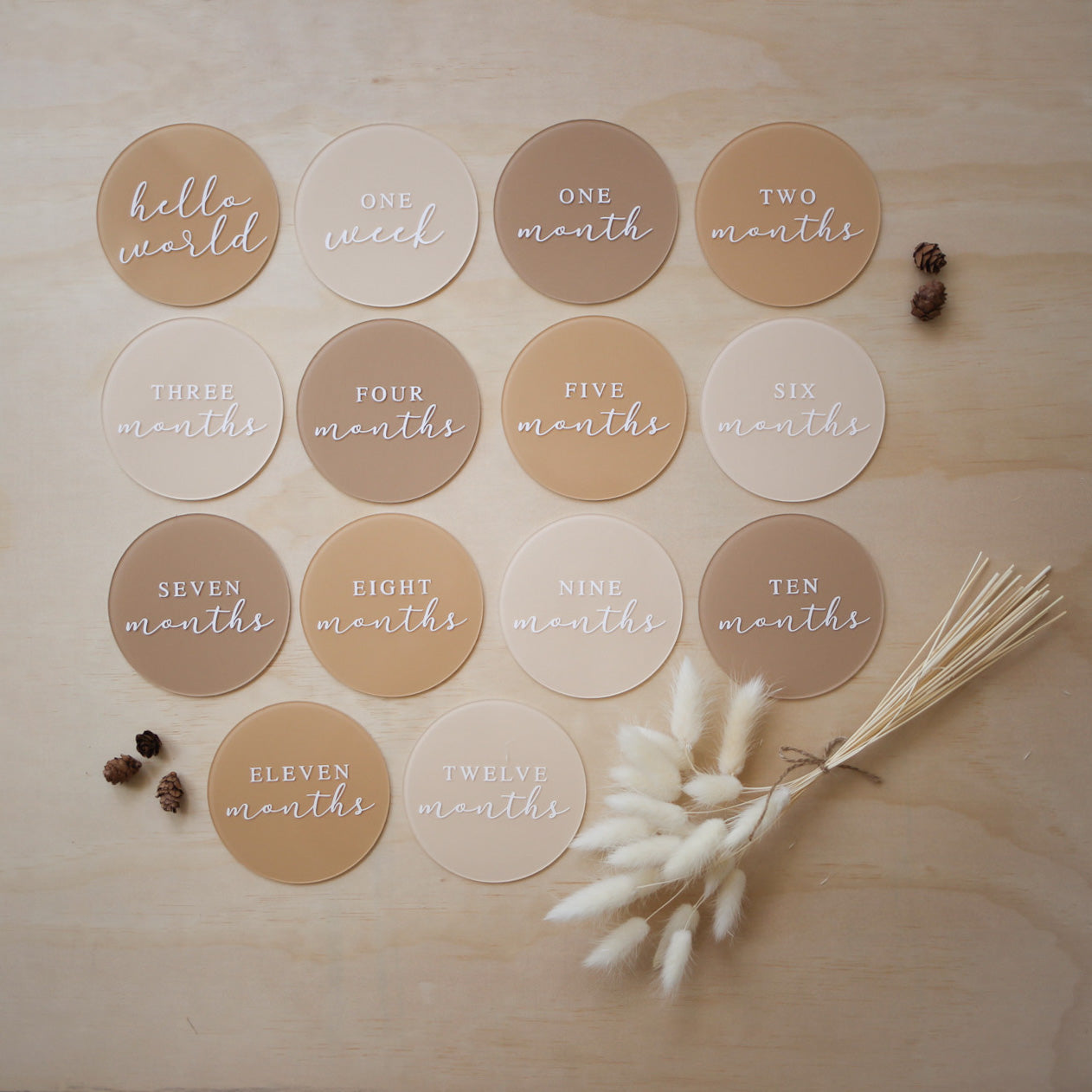 Milestone Collection Milestone Disc Set | STANDARD #2 | Various Colourway Options – Salt ...